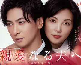 致亲爱的丈夫~完美妻子的谎言~海报